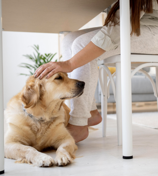Mejorar la convivencia en casa
